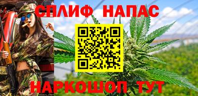 ПСИЛОЦИБИНОВЫЕ ГРИБЫ Беслан