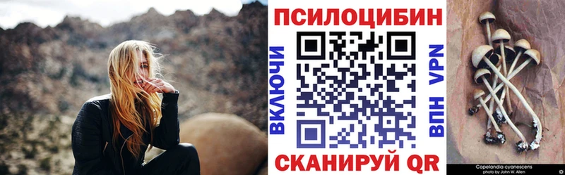 купить наркотики цена  МЕГА онион  Галлюциногенные грибы Psilocybe  Новоалександровск 