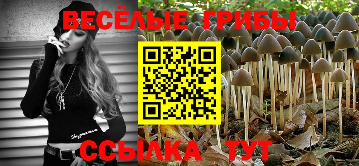 Галлюциногенные грибы мицелий Новоалександровск